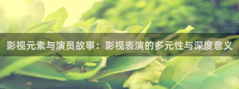 第九神马午夜影院：影视元素与演员故事：影视表演的多元性与深度意义