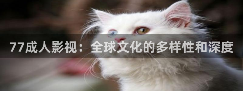 达达兔影院第九电影：77成人影视：全球文化的多样性和深度