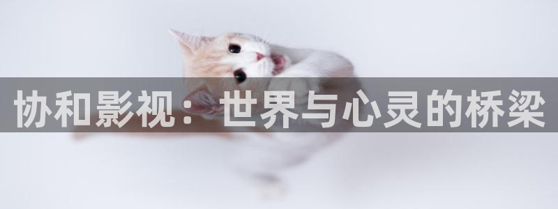 神马影院午夜第九：协和影视：世界与心灵的桥梁