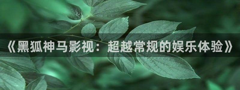 第九影院：《黑狐神马影视：超越常规的娱乐体验》
