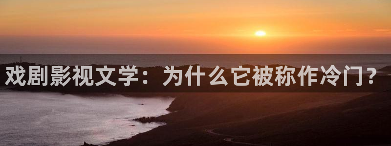 第九最新影院电影：戏剧影视文学：为什么它被称作冷门？