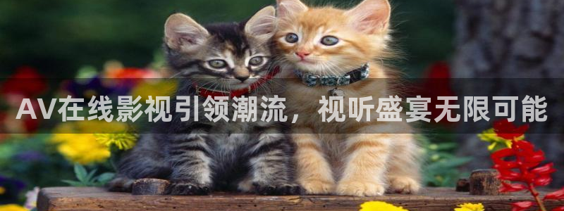 神马第九超神影院：AV在线影视引领潮流，视听盛宴无限可能