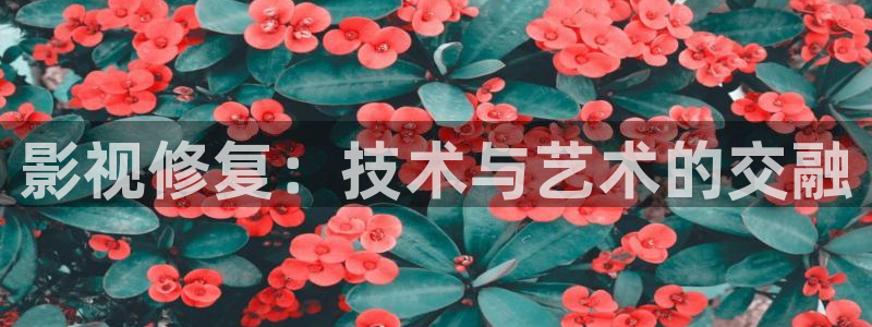 神马影院第九达达兔我不卡：影视修复：技术与艺术的交融