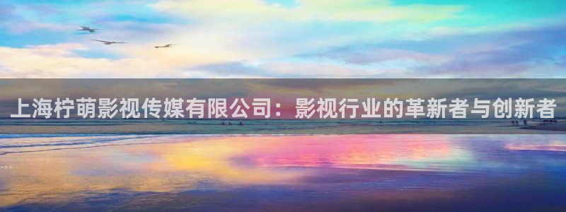 韩国第九影院：上海柠萌影视传媒有限公司：影视行业的革新者与创新者