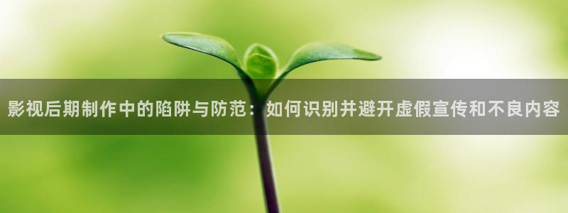 神马伦理第九影院：影视后期制作中的陷阱与防范：如何识别并避开虚假宣传和不良内容