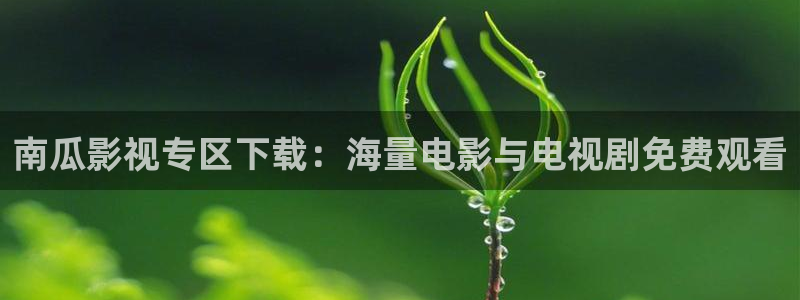 秋霞第九影院：南瓜影视专区下载：海量电影与电视剧免费观看