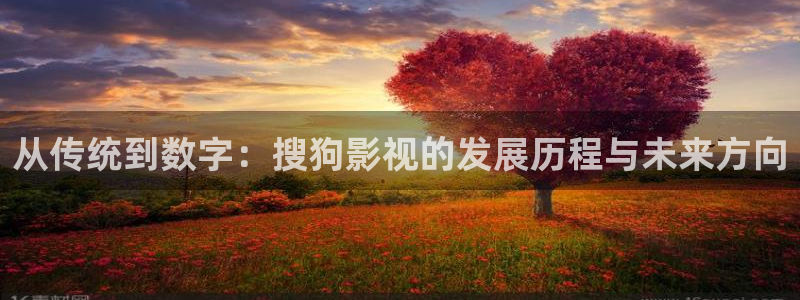 第九影院之花花影院：从传统到数字：搜狗影视的发展历程与未来方向
